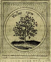 An illustration from Teatro d'imprese (1623)