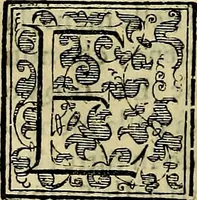 Picture 122 of 705 from Teatro d'imprese (1623), leaf 313