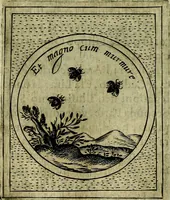 Picture 143 of 705 from Teatro d'imprese (1623), leaf 331