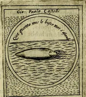 Picture 144 of 705 from Teatro d'imprese (1623), leaf 332