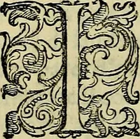 Picture 155 of 705 from Teatro d'imprese (1623), leaf 341