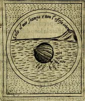 Picture 166 of 705 from Teatro d'imprese (1623), leaf 356