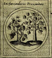 An illustration from Teatro d'imprese (1623)