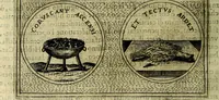 Picture 174 of 705 from Teatro d'imprese (1623), leaf 363