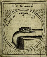 Picture 175 of 705 from Teatro d'imprese (1623), leaf 364