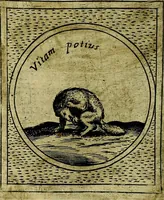 Picture 192 of 705 from Teatro d'imprese (1623), leaf 377