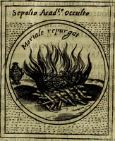 Picture 193 of 705 from Teatro d'imprese (1623), leaf 378