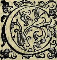 Picture 197 of 705 from Teatro d'imprese (1623), leaf 383
