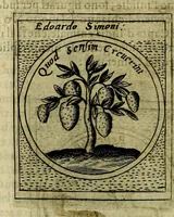 Picture 200 of 705 from Teatro d'imprese (1623), leaf 385
