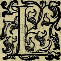 Picture 212 of 705 from Teatro d'imprese (1623), leaf 395