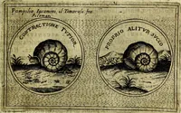Picture 213 of 705 from Teatro d'imprese (1623), leaf 396