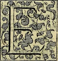 Picture 214 of 705 from Teatro d'imprese (1623), leaf 397