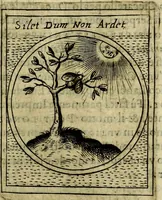 Picture 215 of 705 from Teatro d'imprese (1623), leaf 398