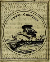 An illustration from Teatro d'imprese (1623)