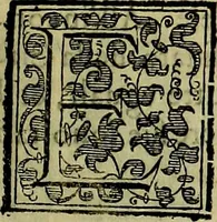 Picture 224 of 705 from Teatro d'imprese (1623), leaf 408