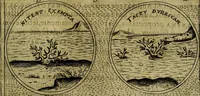 Picture 244 of 705 from Teatro d'imprese (1623), leaf 428