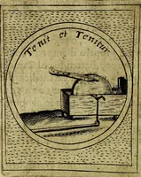 Picture 255 of 705 from Teatro d'imprese (1623), leaf 439