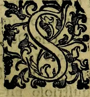 Picture 258 of 705 from Teatro d'imprese (1623), leaf 440