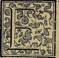Picture 264 of 705 from Teatro d'imprese (1623), leaf 447