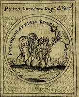 Picture 265 of 705 from Teatro d'imprese (1623), leaf 448