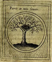Picture 267 of 705 from Teatro d'imprese (1623), leaf 448