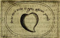 Picture 269 of 705 from Teatro d'imprese (1623), leaf 450