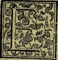 Picture 279 of 705 from Teatro d'imprese (1623), leaf 462