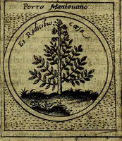 Picture 283 of 705 from Teatro d'imprese (1623), leaf 466