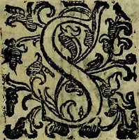 Picture 292 of 705 from Teatro d'imprese (1623), leaf 478