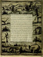 Picture 295 of 705 from Teatro d'imprese (1623), leaf 483