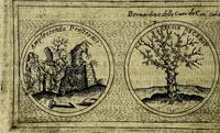 An illustration from Teatro d'imprese (1623)