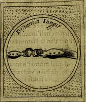 Picture 314 of 705 from Teatro d'imprese (1623), leaf 503