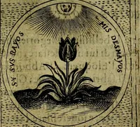 An illustration from Teatro d'imprese (1623)