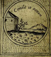 Picture 328 of 705 from Teatro d'imprese (1623), leaf 517
