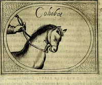 Picture 335 of 705 from Teatro d'imprese (1623), leaf 523
