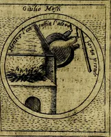 Picture 339 of 705 from Teatro d'imprese (1623), leaf 525