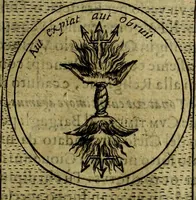 An illustration from Teatro d'imprese (1623)