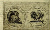 An illustration from Teatro d'imprese (1623)