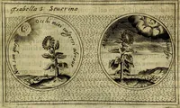 Picture 367 of 705 from Teatro d'imprese (1623), leaf 552