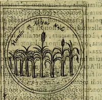 An illustration from Teatro d'imprese (1623)