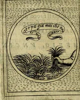 Picture 378 of 705 from Teatro d'imprese (1623), leaf 563