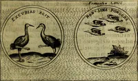 Picture 386 of 705 from Teatro d'imprese (1623), leaf 572