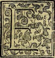 Picture 390 of 705 from Teatro d'imprese (1623), leaf 576