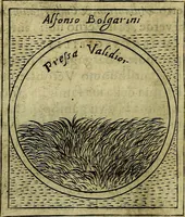Picture 391 of 705 from Teatro d'imprese (1623), leaf 577