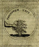 Picture 392 of 705 from Teatro d'imprese (1623), leaf 578