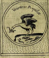 An illustration from Teatro d'imprese (1623)