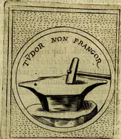 Picture 411 of 705 from Teatro d'imprese (1623), leaf 596