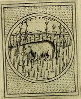 An illustration from Teatro d'imprese (1623)