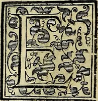 Picture 422 of 705 from Teatro d'imprese (1623), leaf 607