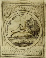 Picture 424 of 705 from Teatro d'imprese (1623), leaf 608